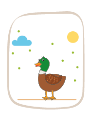 duck