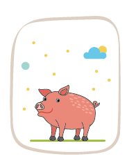 pig