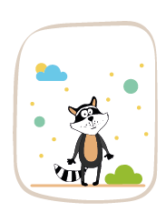 raccoon