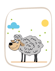 sheep